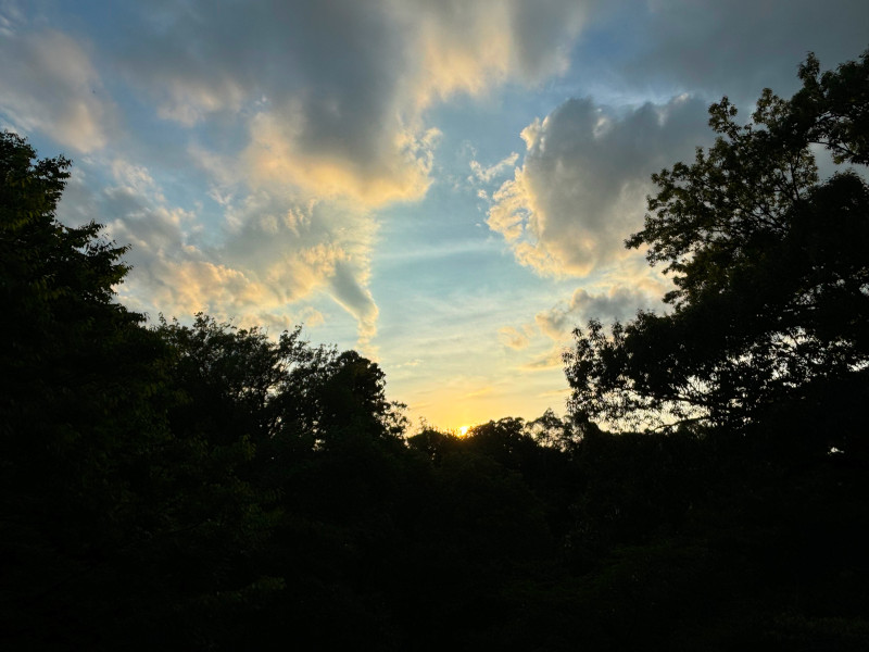 Twilight